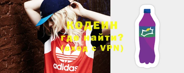 индика Балахна
