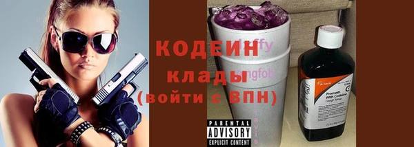 индика Балахна
