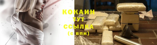 спайс Баксан