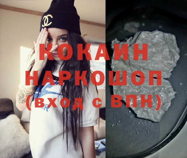 индика Балахна