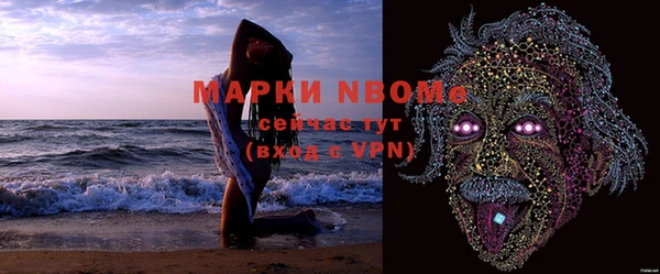 индика Балахна