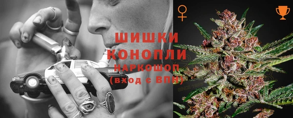спайс Баксан
