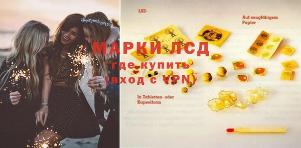 индика Балахна